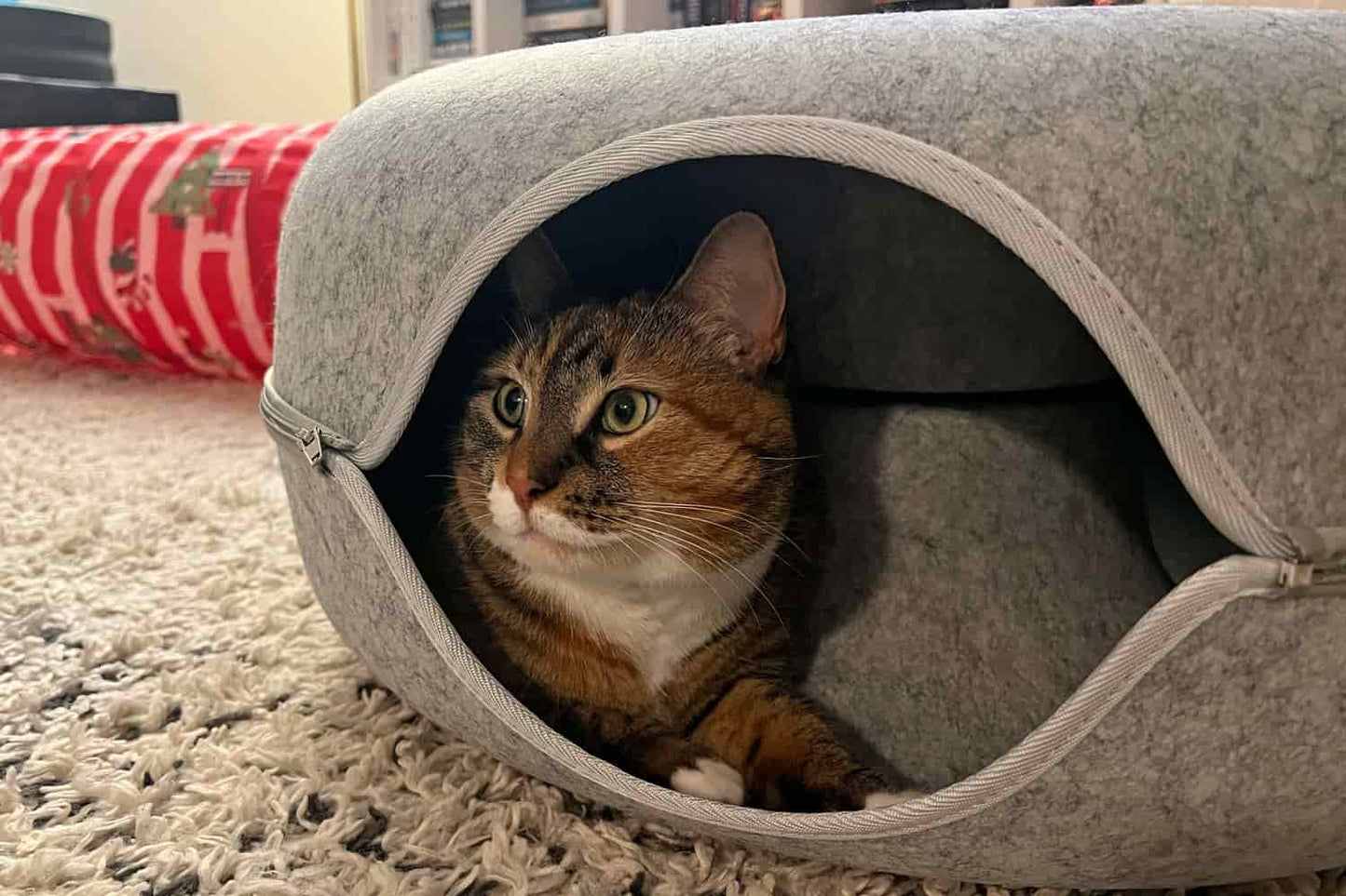 PEEKABOO Cat Cave
