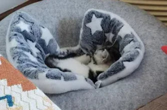 "FIRZGERAL M." verified customer