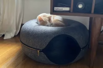 "ANGELA P." verified customer