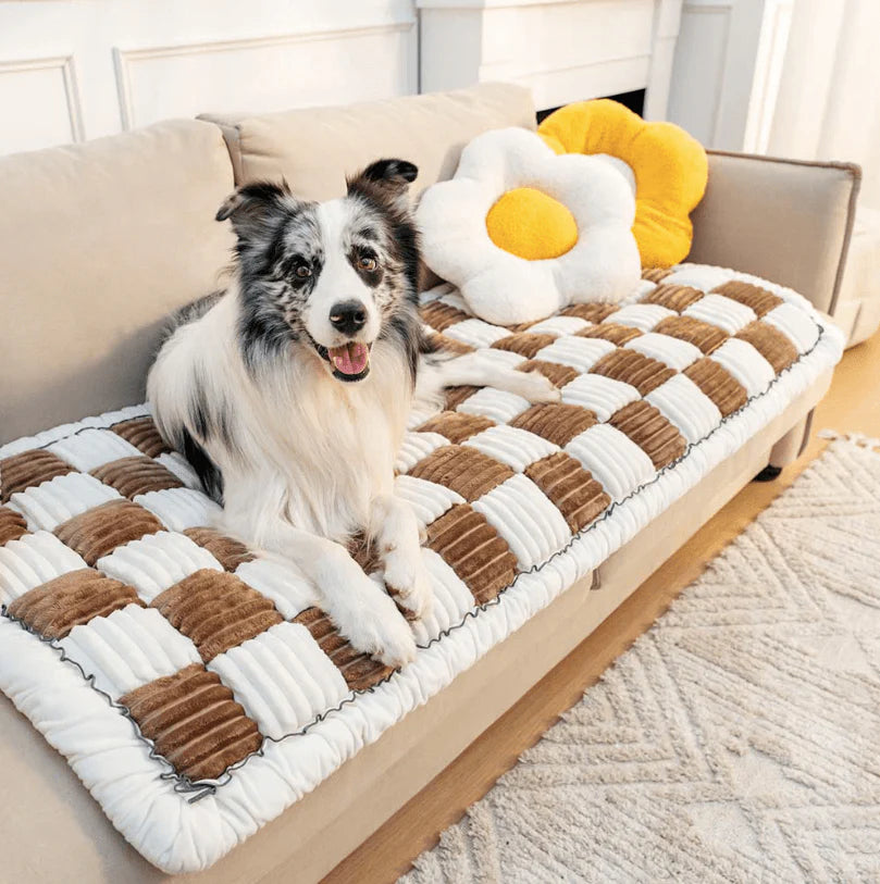 Pet Couch Cover